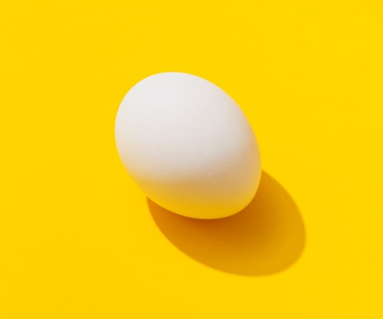 Egg illustration